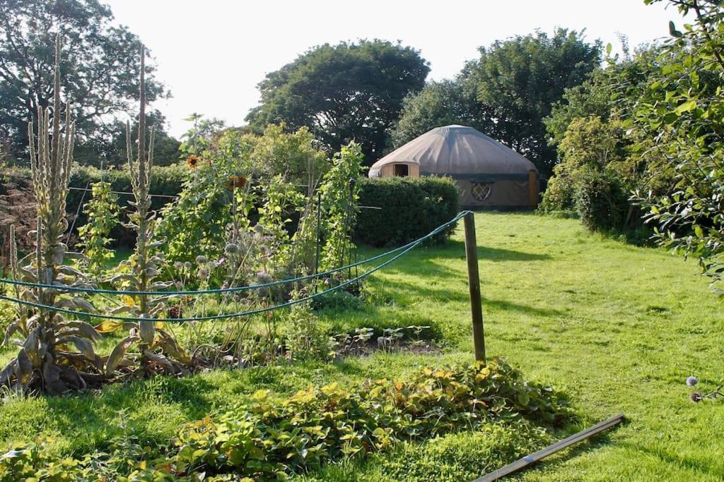 Giant Yurt Sleeping 8 With Spa, Catering, Walled Gardens, Nature Reserve, Free Parking *