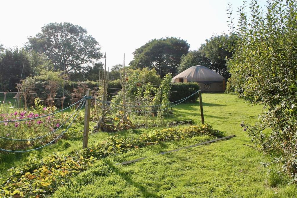 Giant Yurt Sleeping 8 With Spa, Catering, Walled Gardens, Nature Reserve, Free Parking