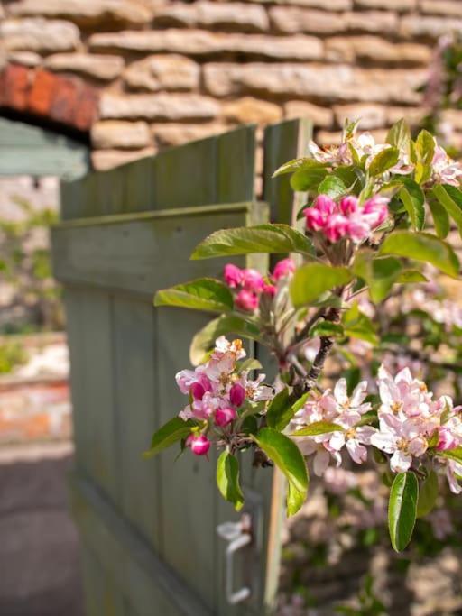 Giant Yurt Sleeping 8 With Spa, Catering, Walled Gardens, Nature Reserve, Free Parking Scunthorpe